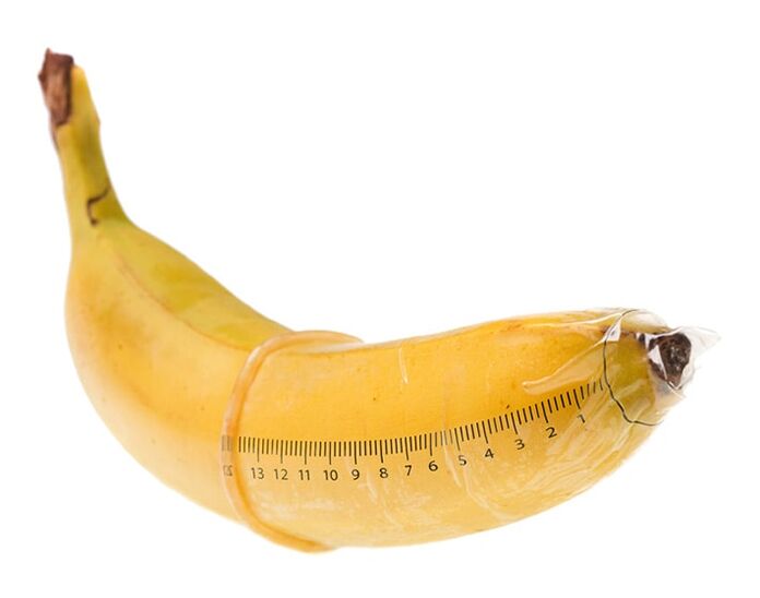 La taille optimale d'un pénis en érection est de 10 à 16 cm. 
